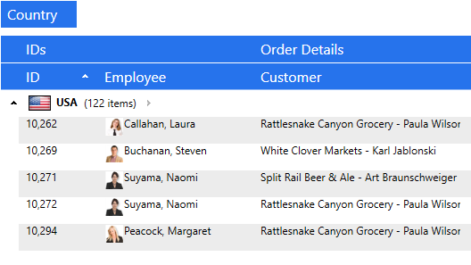 Xceed DataGrid for WPF V6.0