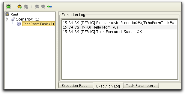 execution log