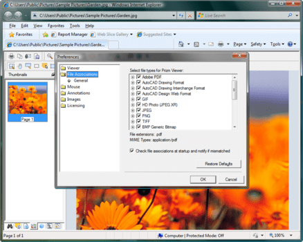 how to get activex control for ie to view tiff images