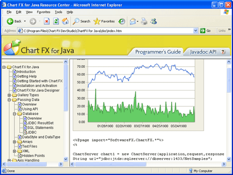 Chart FX for Java 6.5 （英語版）