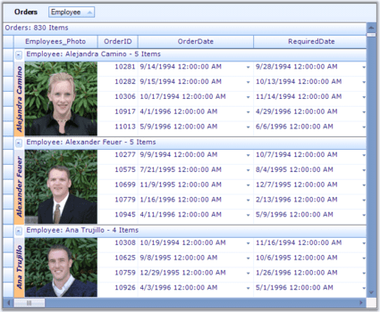 Syncfusion Essential Grid for Windows Forms