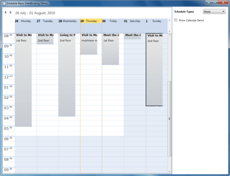 Syncfusion Essential Schedule for WPF