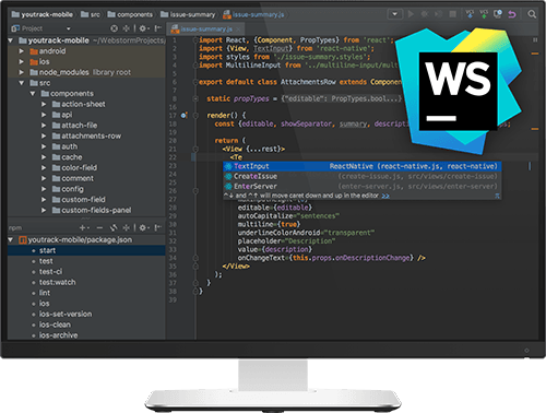 Webstorm editor Webstorm editor