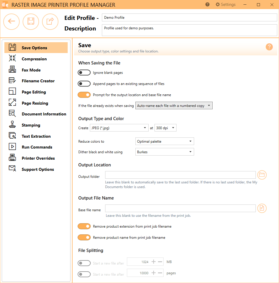Raster Image Printer