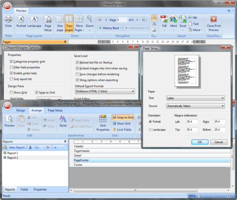 Captura de tela do ComponentOne Reports for .NET Designer Edition