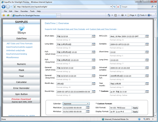 Screenshot of Input Pro for Silverlight