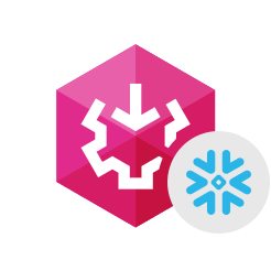Devart SSIS Data Flow Components for Snowflake 屏幕截图