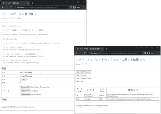 DEXTUpload NJ（日本語版） のスクリーンショット