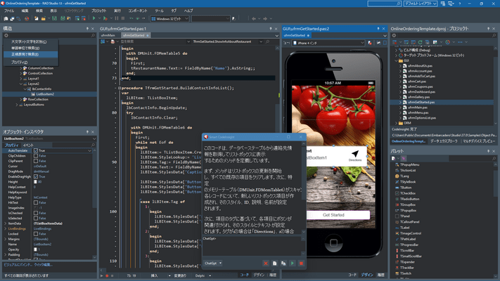 Borland Delphi5 VCLリファレンスVol.1,2 2冊セット Delphi 12における