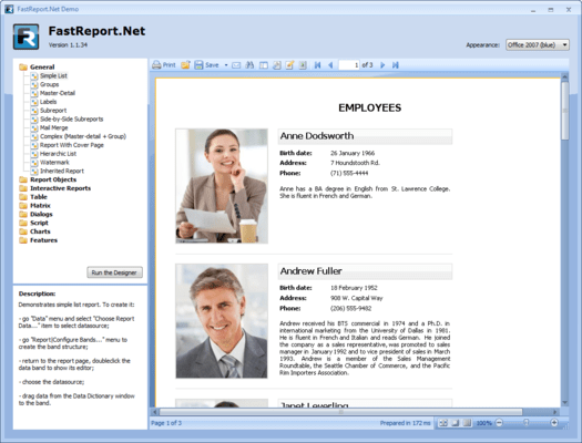 Captura de pantalla de FastReport .NET WinForms