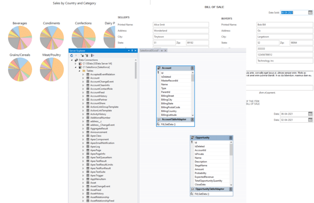 Captura de tela do ComponentOne Studio WinForms Data Services Edition