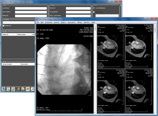 Captura de tela do LEADTOOLS Medical Multimedia Module