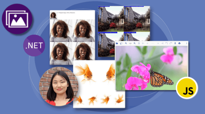 Screenshot of Document Solutions for Imaging .NET