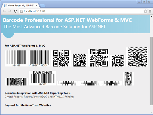 Schermata di Neodynamic Barcode Professional for ASP.NET - Ultimate Edition