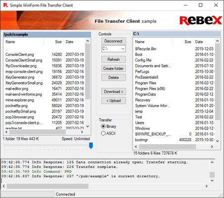 Screenshot of Rebex File Transfer Pack