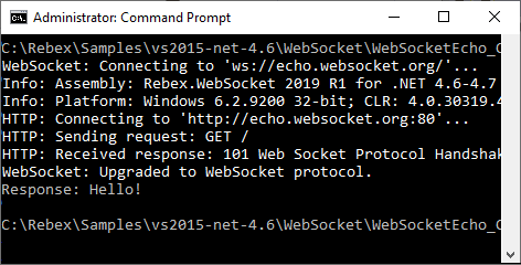 Rebex WebSocket for .NET 的螢幕截圖
