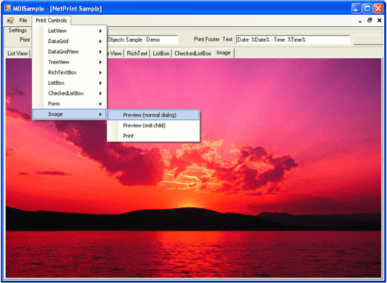 Capture d'écran de .NET Print Objects