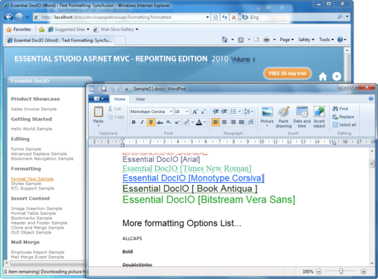 Screenshot of Syncfusion Essential DocIO for ASP.NET MVC