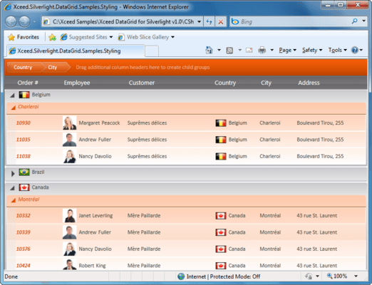 Capture d'écran de Xceed DataGrid for Silverlight