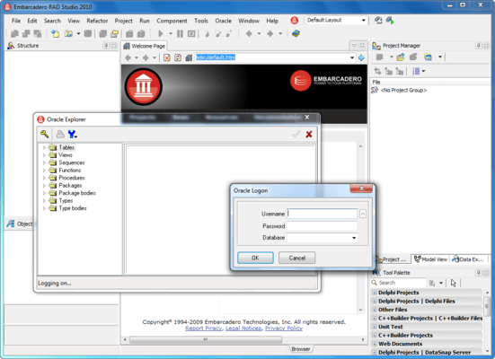 Screenshot of Direct Oracle Access
