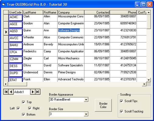 Cell Bordering and Scroll Tips/Tracking