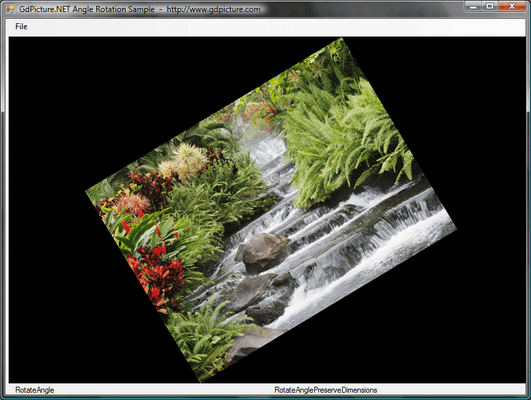 Screenshot of GdPicture.NET Document Imaging SDK