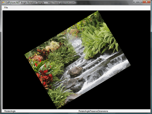 Rotations, Mirror, Flips, Effects, Region of Interest Rotations, Mirror, Flips, Effects, Region of Interest