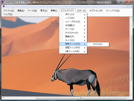 LEADTOOLS Imaging Pro（日本語版） のスクリーンショット