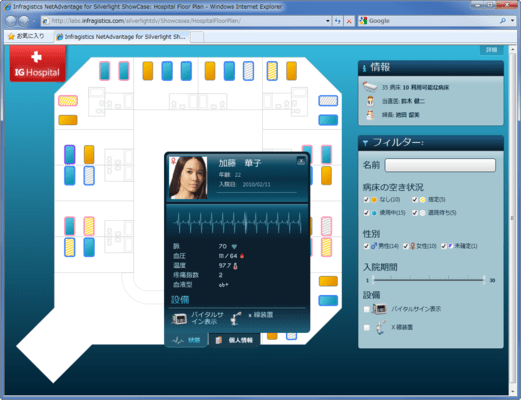 Infragistics Professional（日本語版） のスクリーンショット
