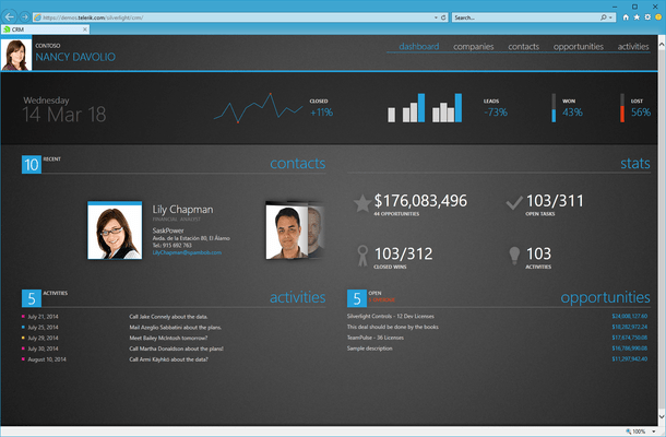 Telerik Silverlight CRM