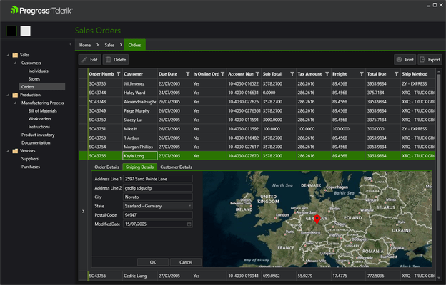 Telerik UI for WPF - ERP Dark Theme