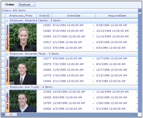 Custom Cell Ranges (Windows Forms)