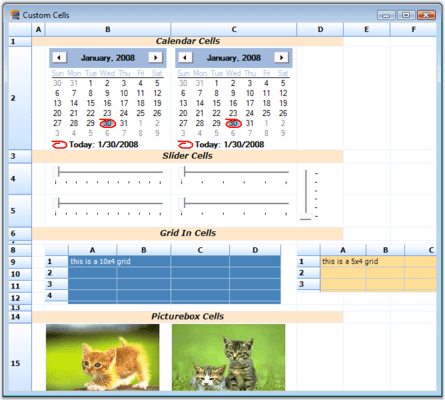 Custom Cell Types (Windows Forms) Custom Cell Types (Windows Forms)
