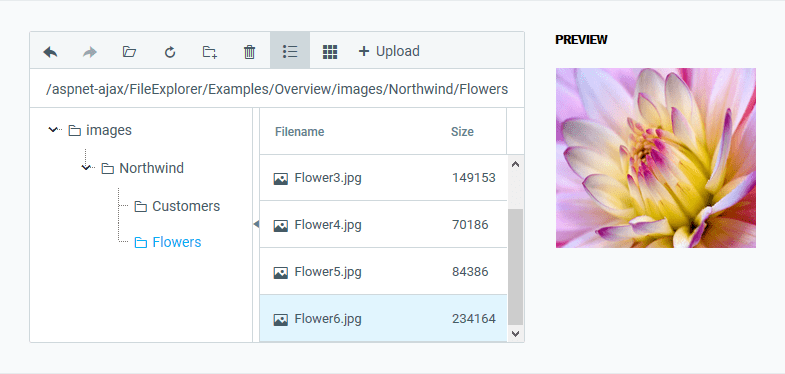 Telerik UI for ASP.NET AJAX - File Explorer