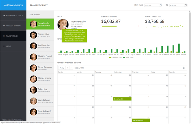 Telerik UI for ASP.NET MVC - Team Efficiency