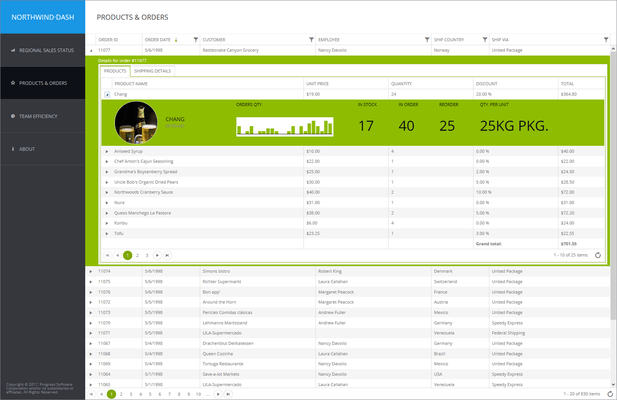Telerik ASP.NET MVC Products and Orders