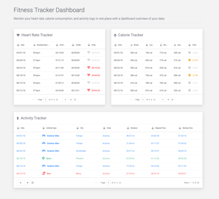 Fitness Tracker Demo