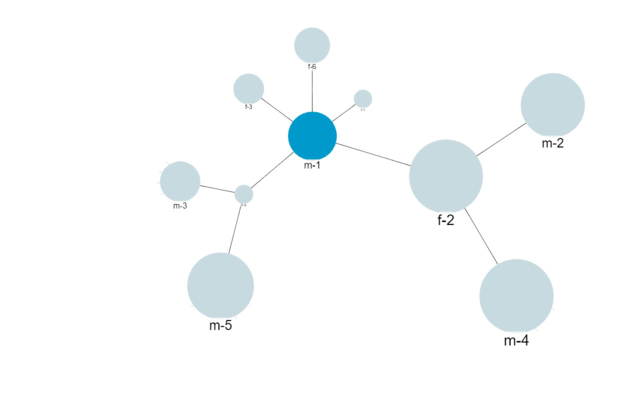 Network Chart using random radiuses