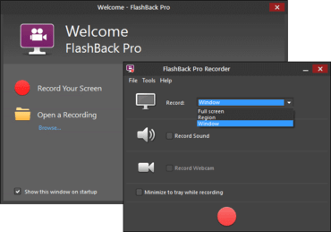 FlashBack Pro V5.16.0.4077