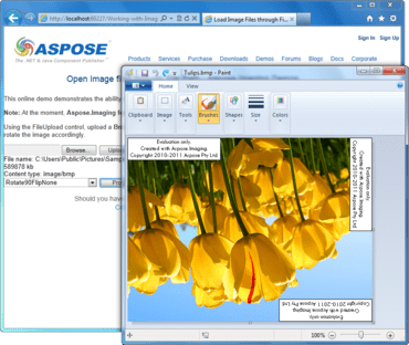 Aspose.Imaging for .NET V17.7