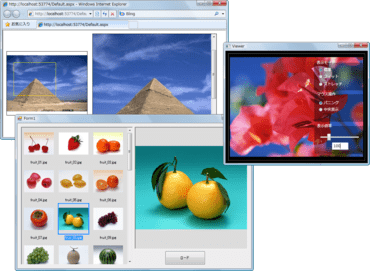LEADTOOLS Imaging Pro（日本語版）19.0J SP3