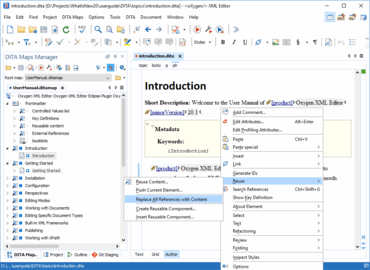 Oxygen XML Author Professional V20.1