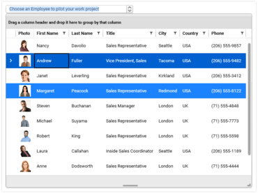 Telerik UI for WPF R3 2018