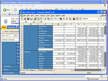 Aspose.Cells per Reporting Services (SSRS) V18.11