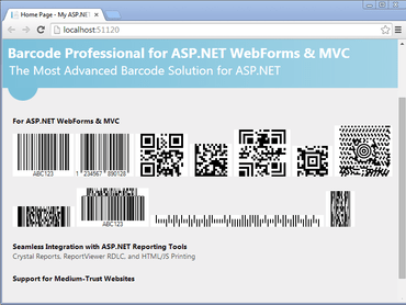 Neodynamic Barcode Professional for ASP.NET - Basic Edition V12