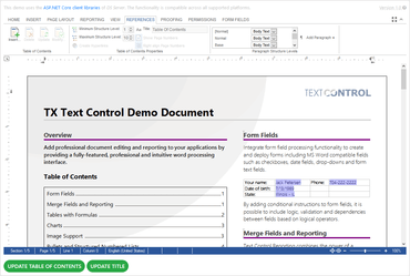 Text Control DS Server aggiornato