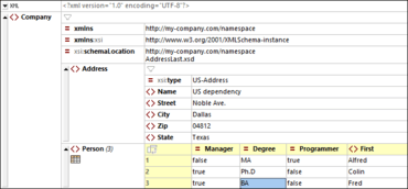 Altova XMLSpy Professional XML Editor 2021 Release 2 SP1