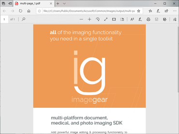 ImageGear PDF v25.1