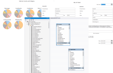 ComponentOne Studio WinForms Data Services Edition 2021 v3