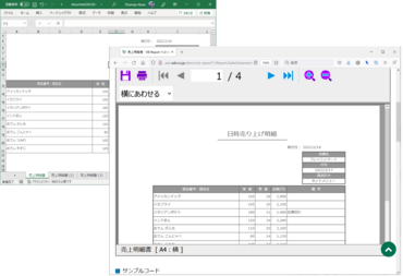 VB-Report 11（日本語版）